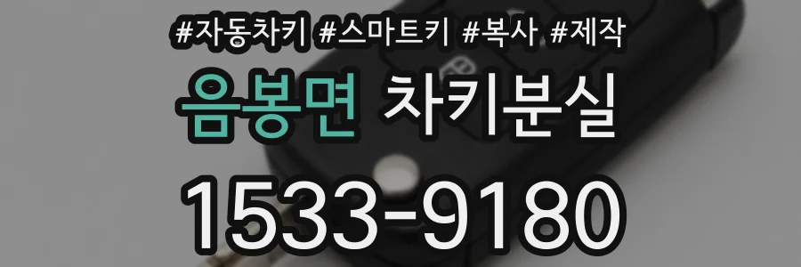 음봉면 차키분실