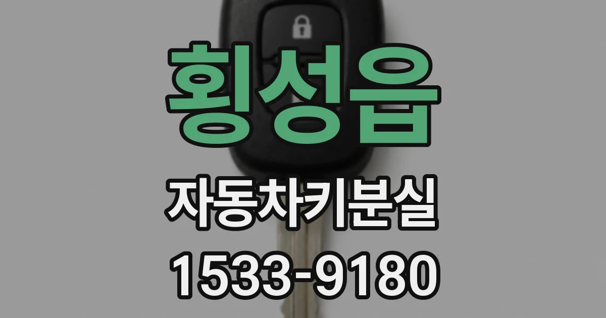 횡성읍 자동차키분실