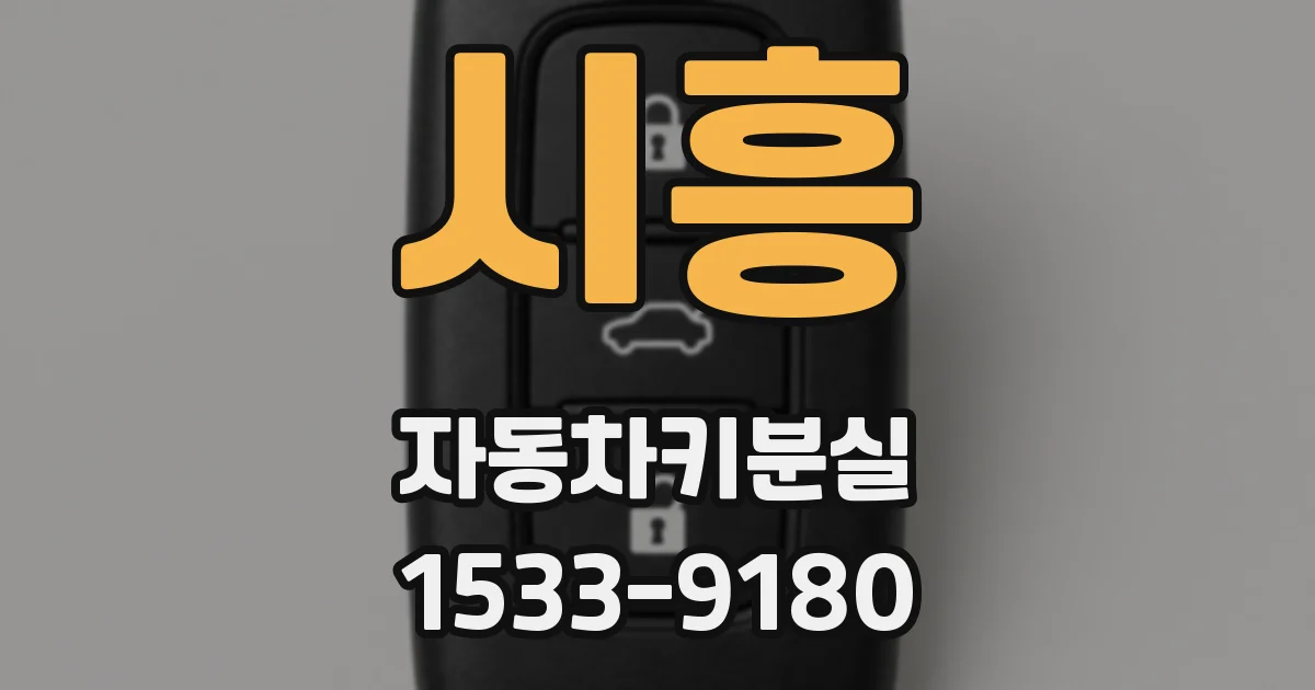 시흥 자동차키분실