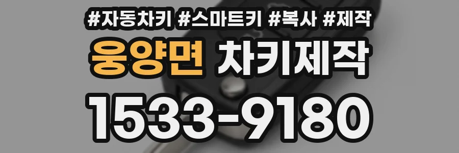 웅양면 차키제작
