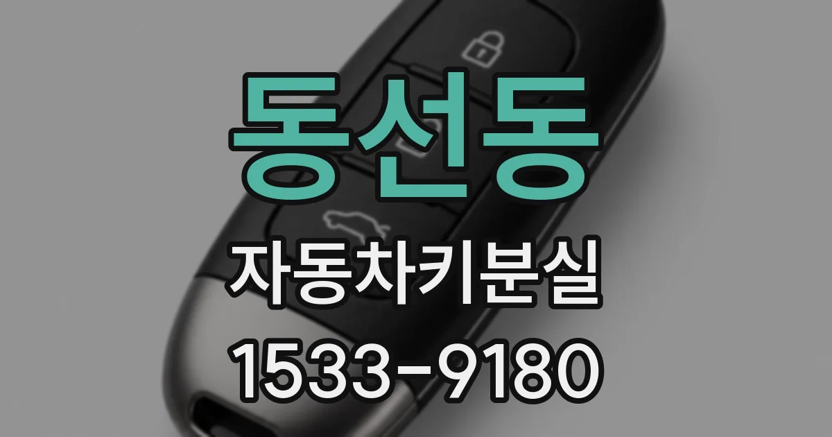 동선동 자동차키분실