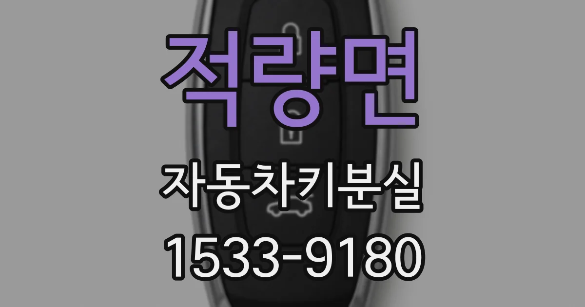 적량면 자동차키분실