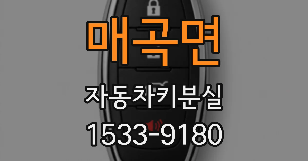 매곡면 자동차키분실