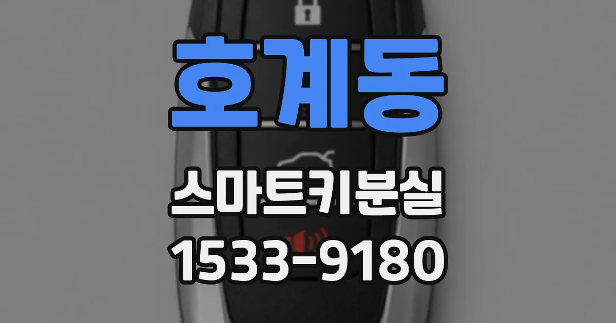 호계동 스마트키분실