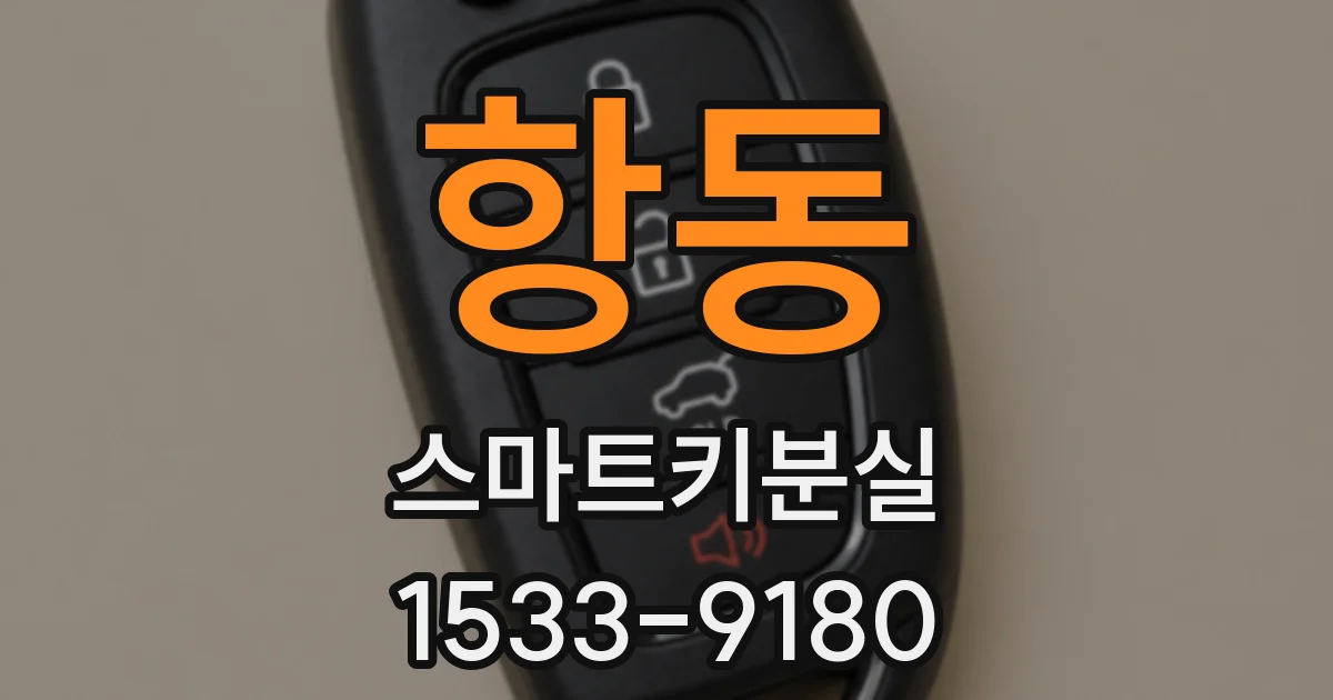 항동 스마트키분실