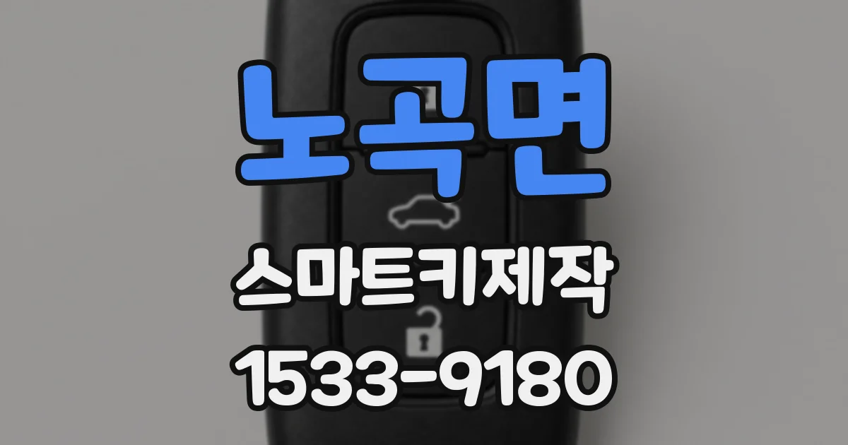 노곡면 스마트키제작