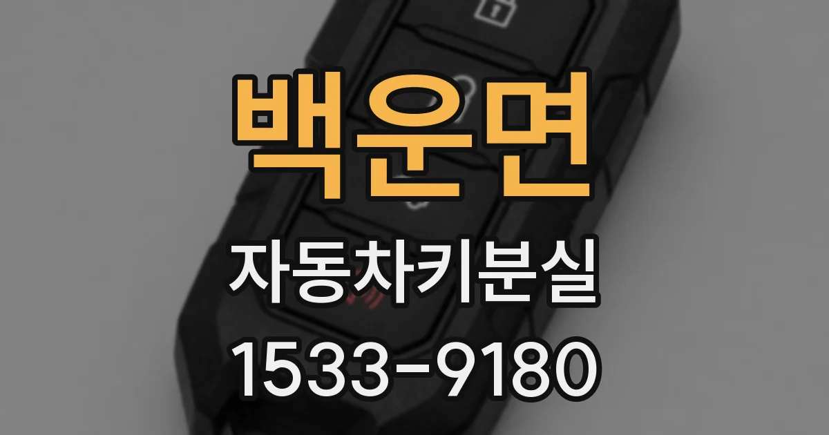 백운면 자동차키분실