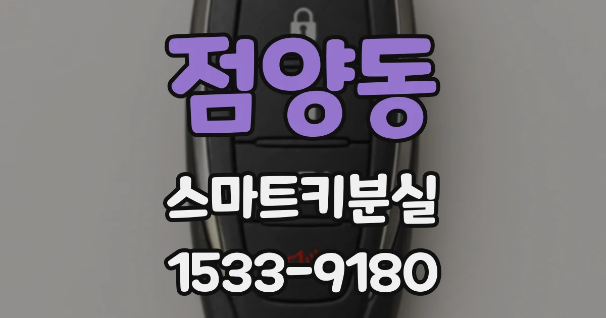 점양동 스마트키분실