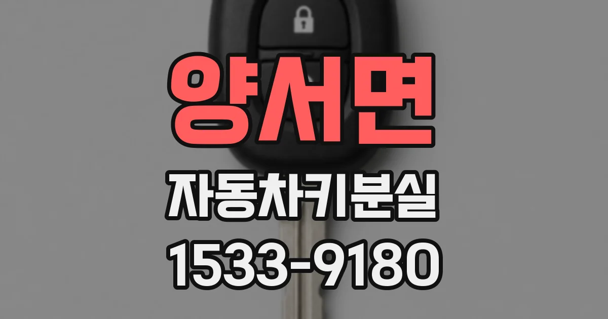 양서면 자동차키분실