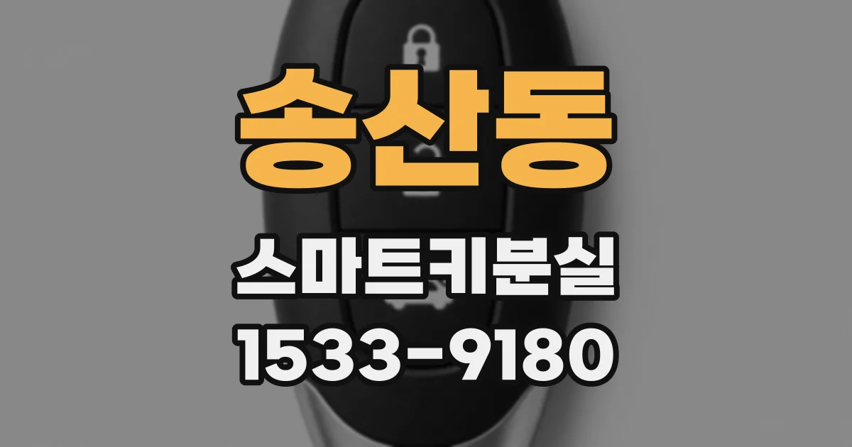 송산동 스마트키분실