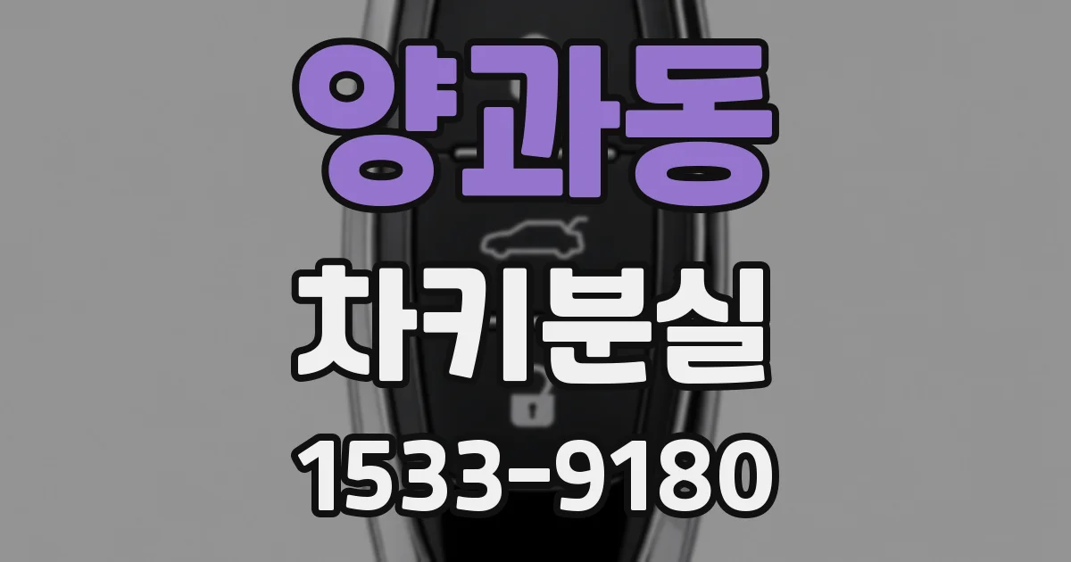 양과동 차키분실