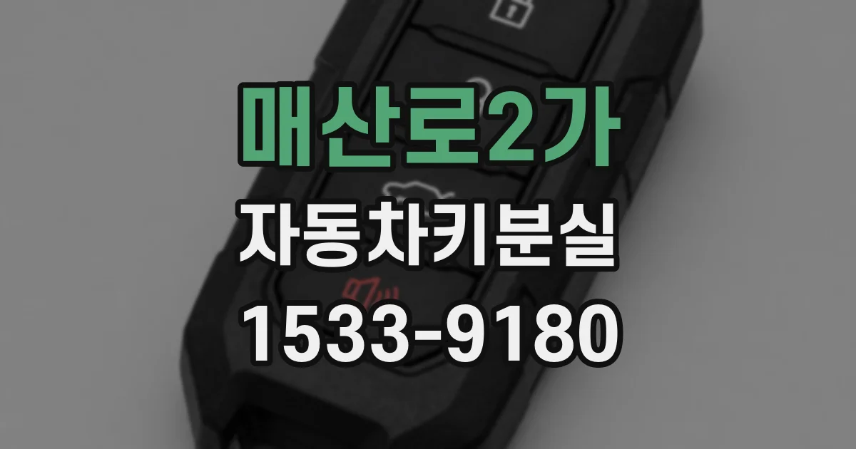 매산로2가 자동차키분실