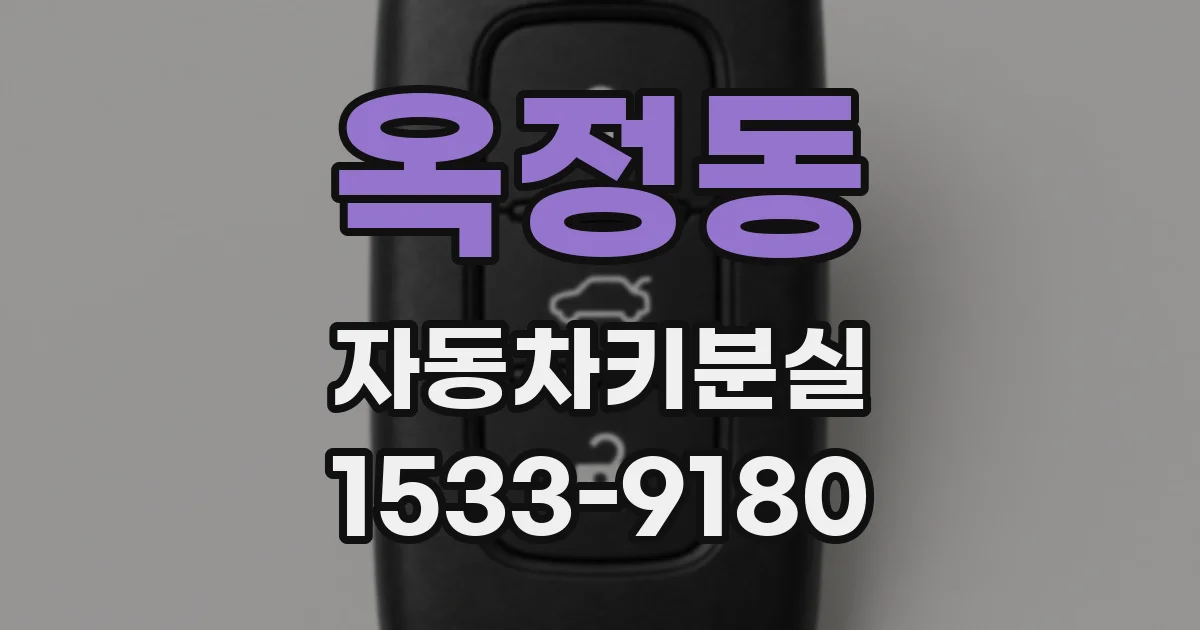 옥정동 자동차키분실
