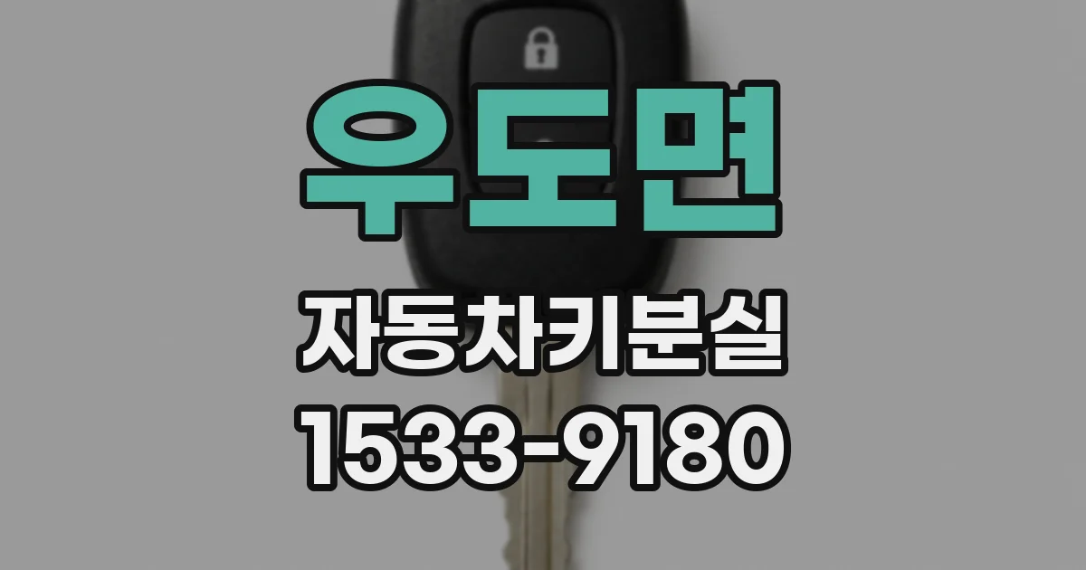 우도면 자동차키분실