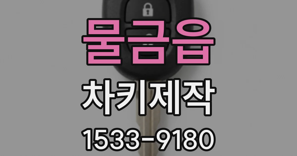 물금읍 차키제작