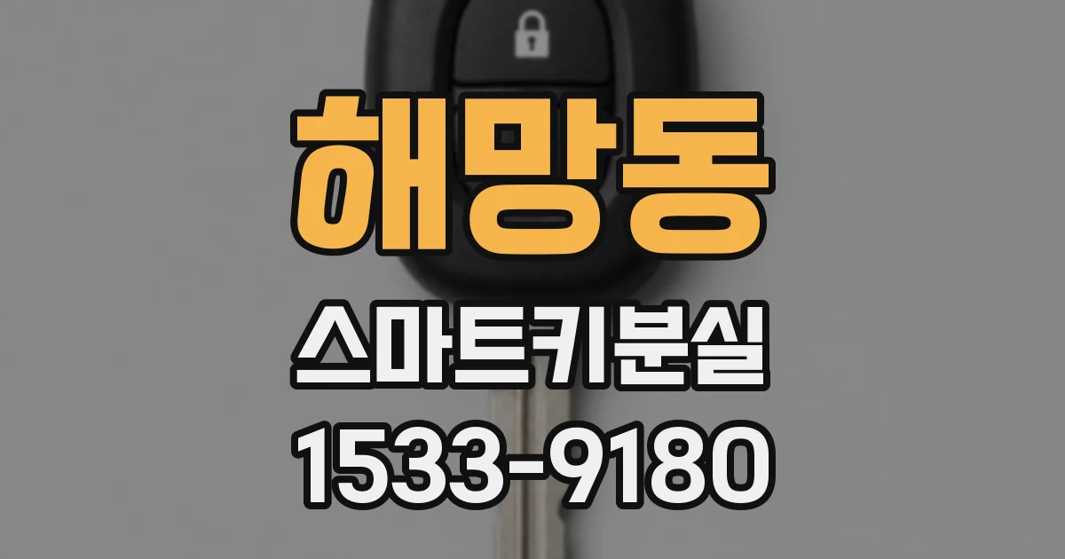 해망동 스마트키분실