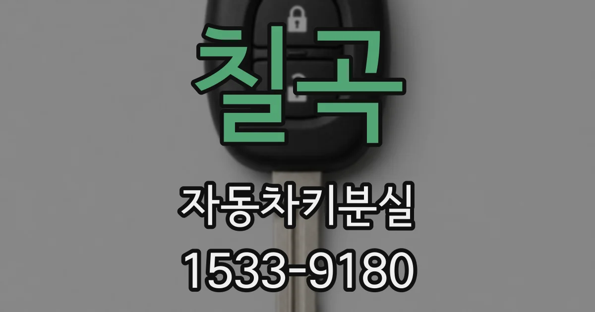 칠곡 자동차키분실