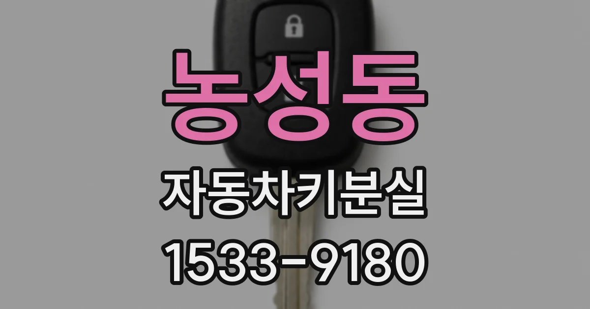 농성동 자동차키분실