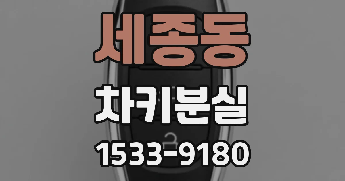 세종동 차키분실