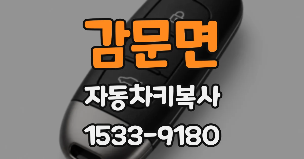 감문면 자동차키복사