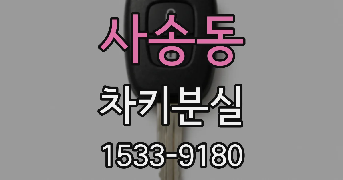 사송동 차키분실
