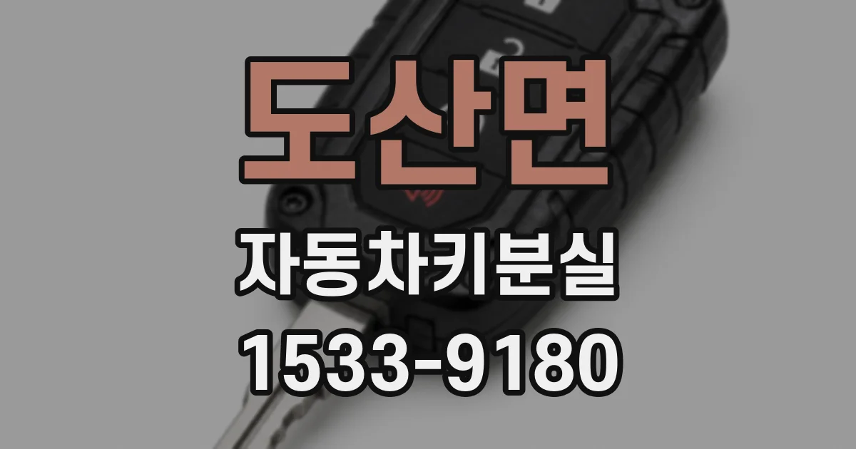 도산면 자동차키분실