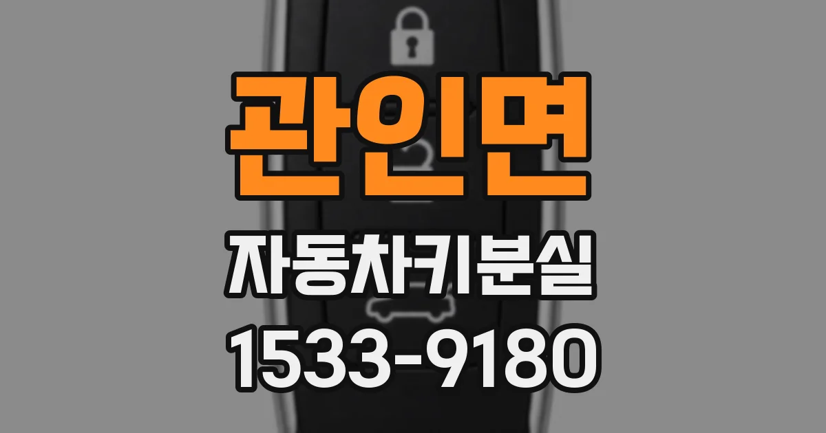 관인면 자동차키분실