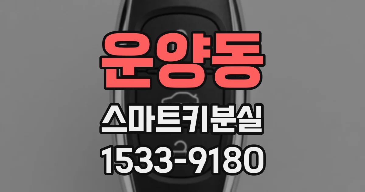 운양동 스마트키분실