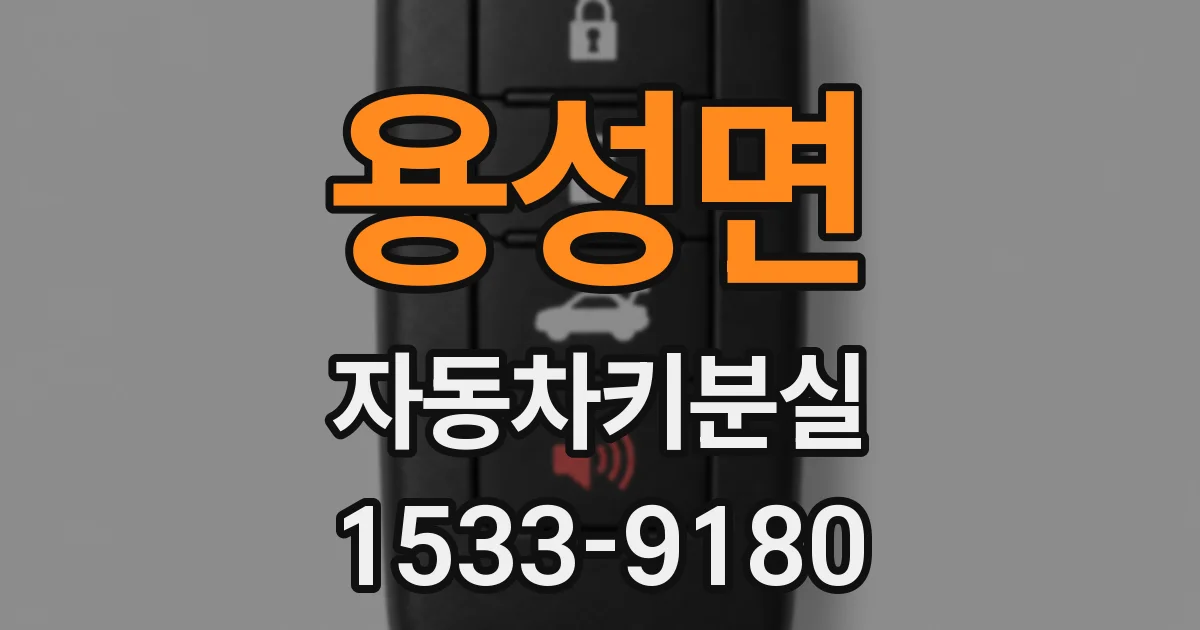 용성면 자동차키분실