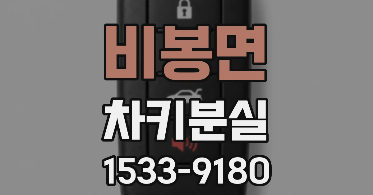 비봉면 차키분실