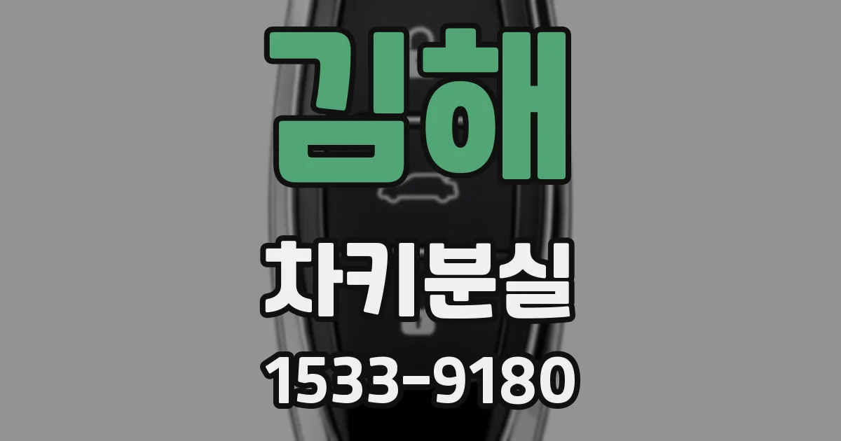 김해 차키분실