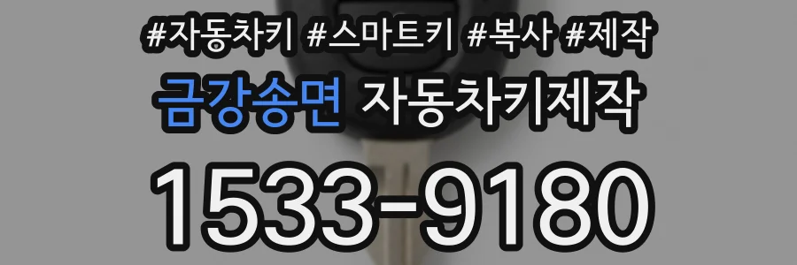 금강송면 자동차키제작
