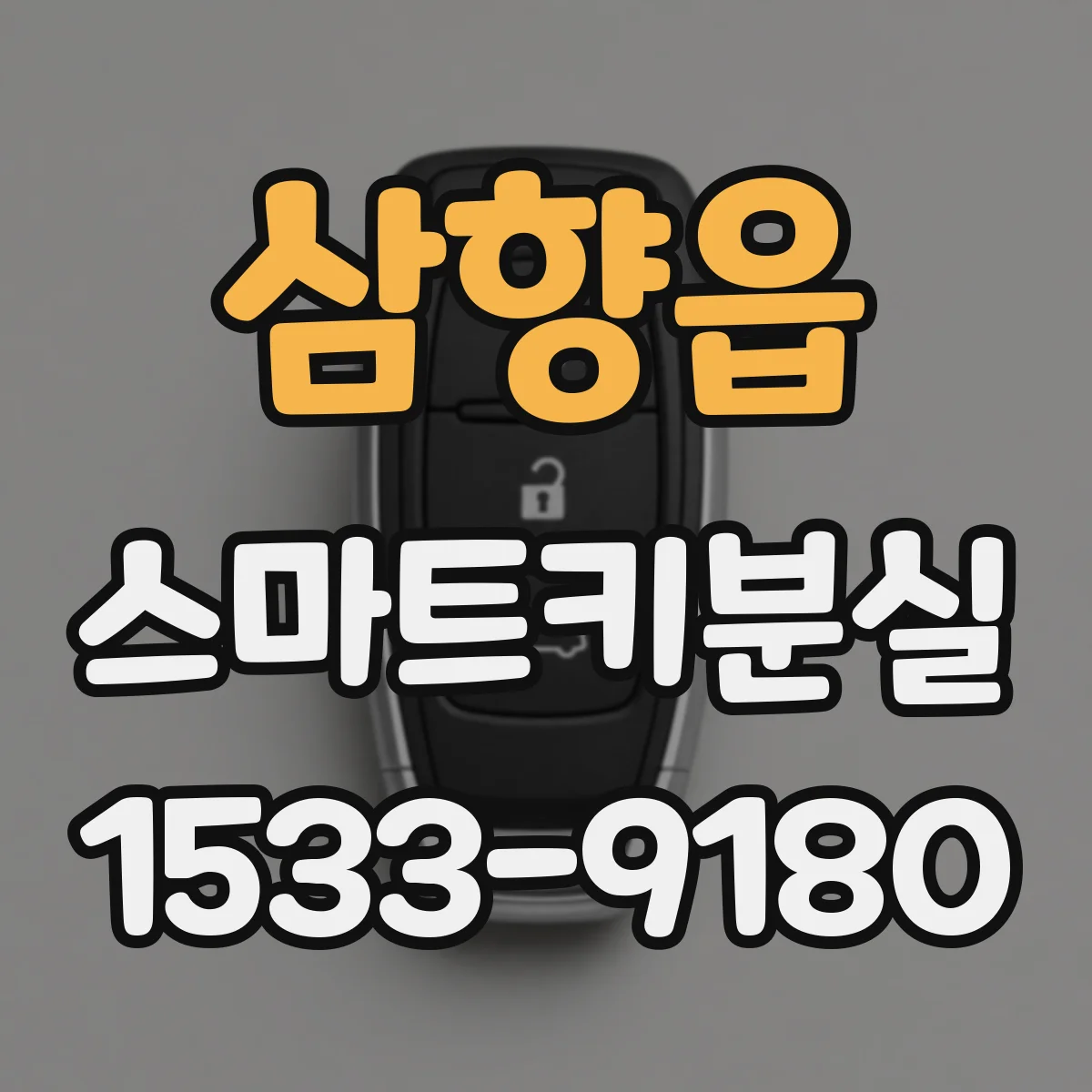 삼향읍 스마트키분실