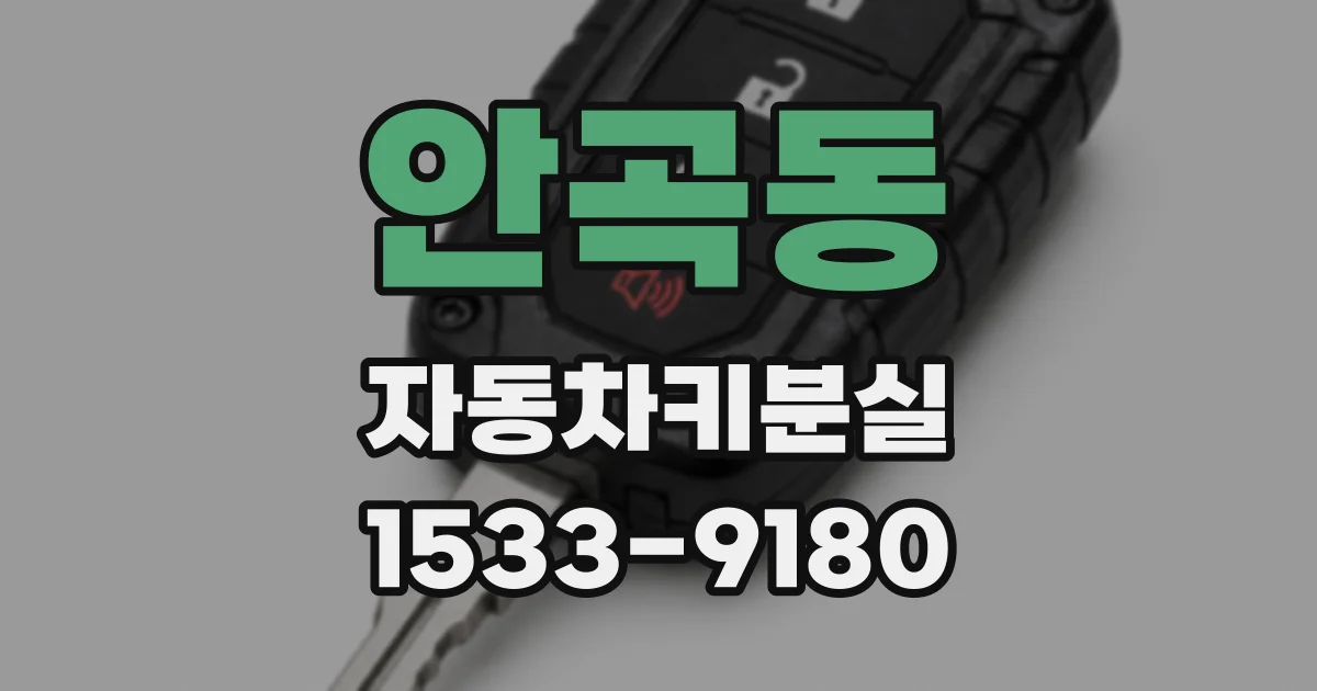 안곡동 자동차키분실