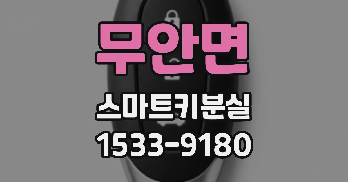 무안면 스마트키분실