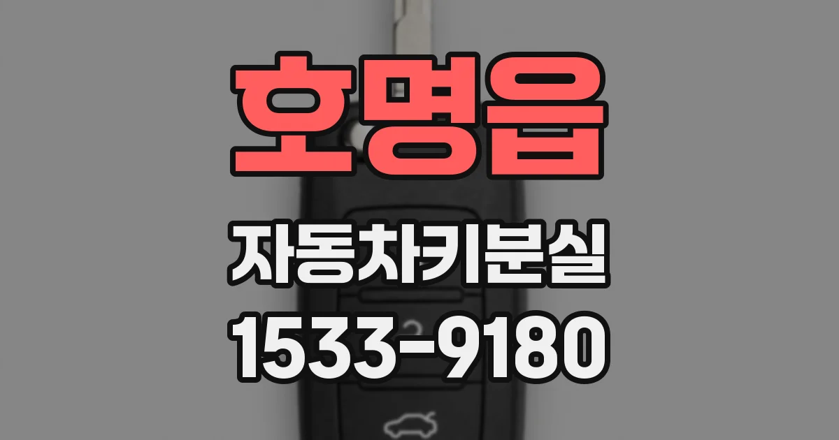 호명읍 자동차키분실