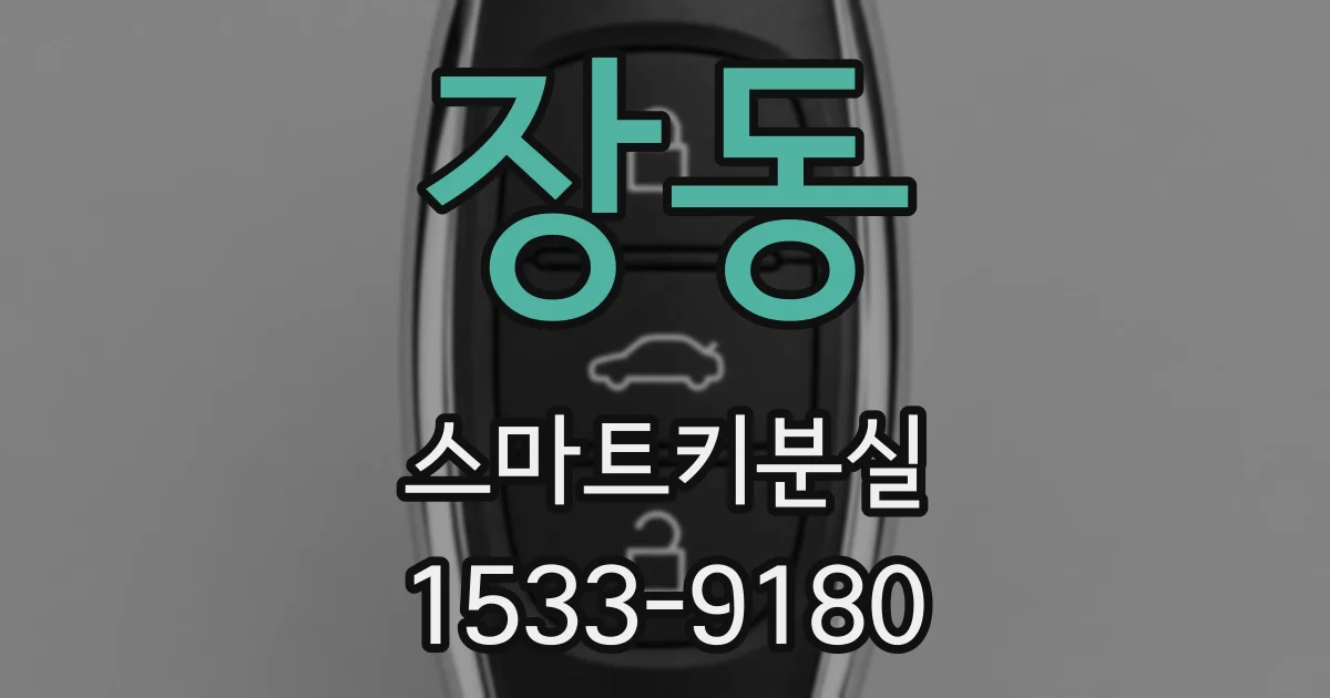 장동 스마트키분실