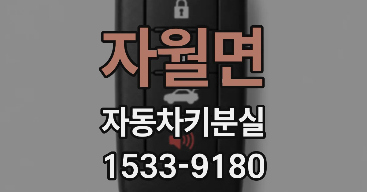 자월면 자동차키분실