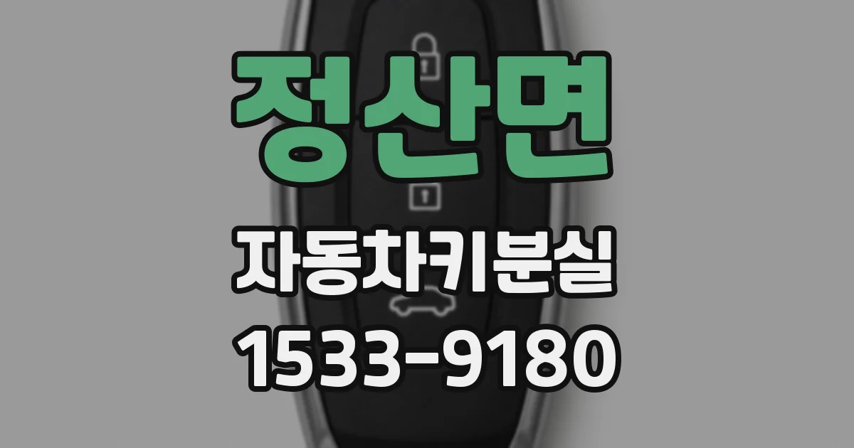 정산면 자동차키분실