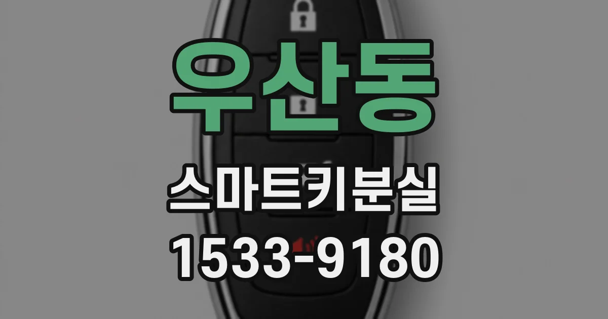 우산동 스마트키분실