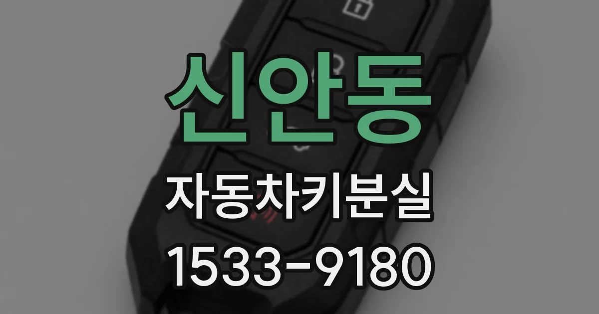 신안동 자동차키분실