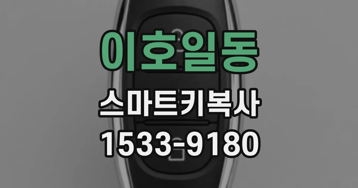 이호일동 스마트키복사