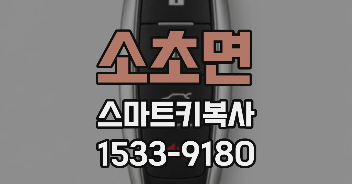 소초면 스마트키복사