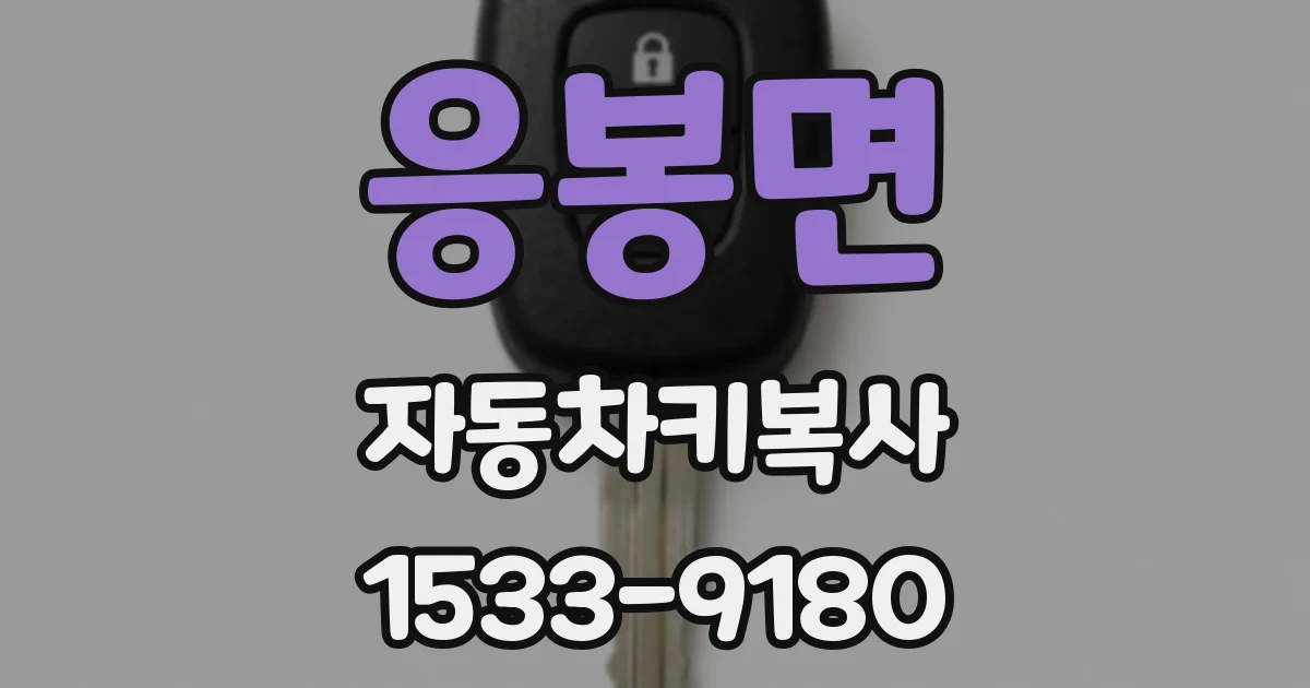 응봉면 자동차키복사