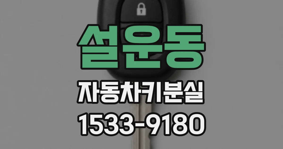 설운동 자동차키분실