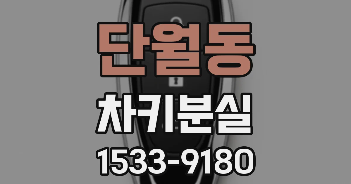 단월동 차키분실