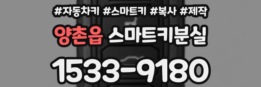 양촌읍 스마트키분실