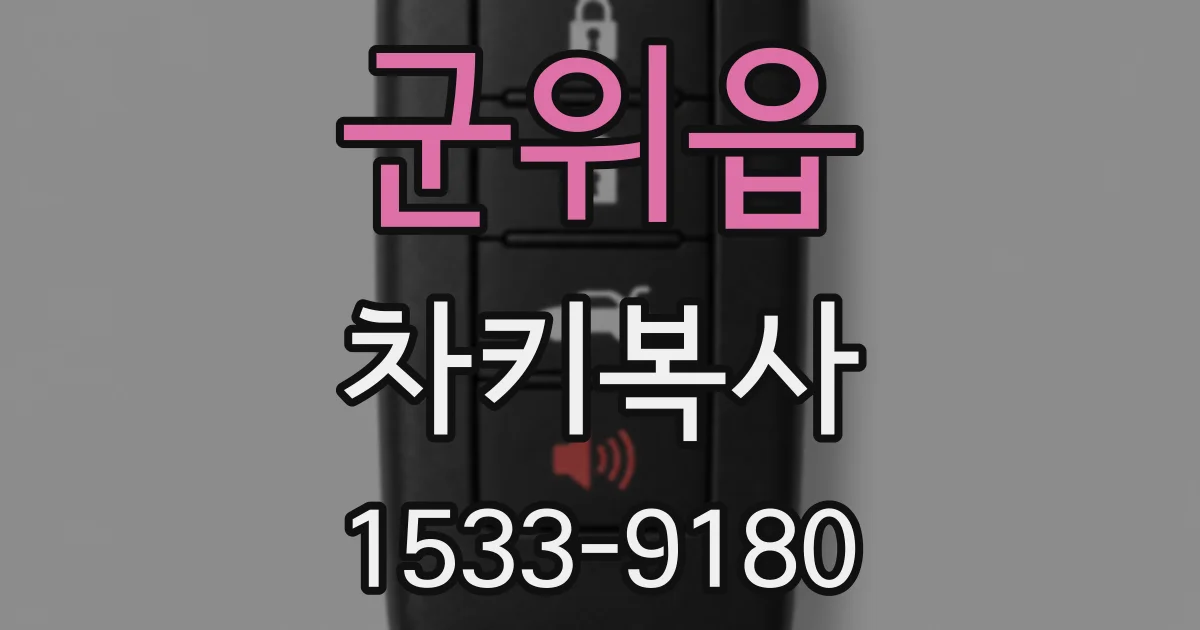군위읍 차키복사