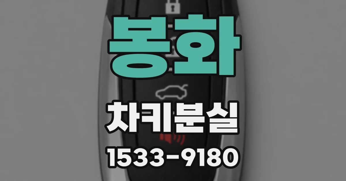 봉화 차키분실