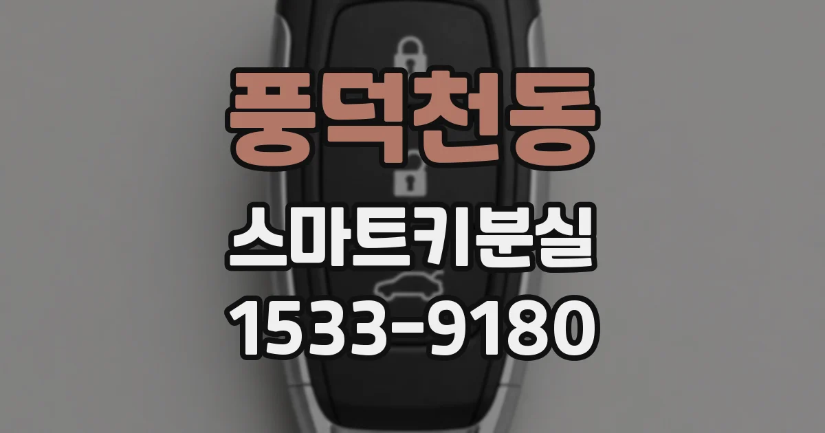 풍덕천동 스마트키분실